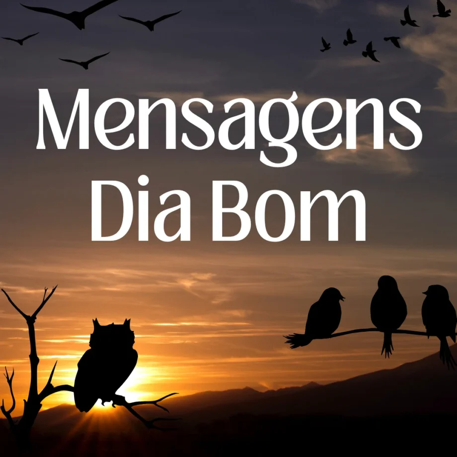 Mensagens Dia Bom - Imagem com pôr do sol, pássaros e coruja em silhueta, transmitindo paz e positividade para começar bem o dia.